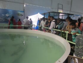 Aqua Aquaria 2015 Vietnam Firm to set up Aqua Feed Plant in Andhra