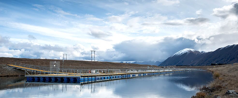 Highest Sustainable Rating for Mount Cook Alpine Salmon
