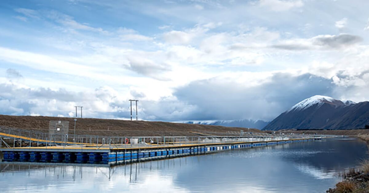 Highest Sustainable Rating for Mount Cook Alpine Salmon