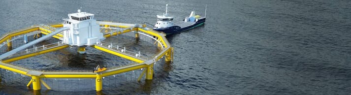 Environmental groups and capture fishery campaginers are uneasy about the prospect of offshore aquaculture facilites, such as this Offshore Farming set-up, coming to US waters