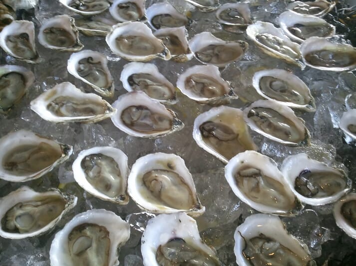 Pacific oysters are among the shellfish species widely farmed in California