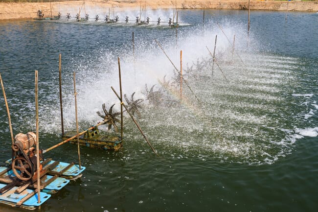 Aerators in a shrimp pond.