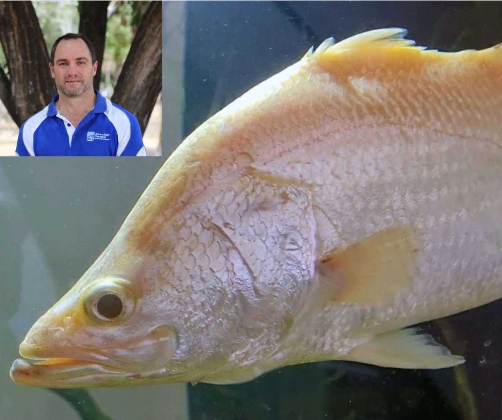 New A$10 million aquaculture research hub in Australia