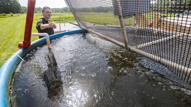 A man feeds fish in a large tank with netting above the water.